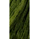 Green with Envy - GA Sampler Threads