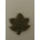 Olde Brass Button - Maple Leaf