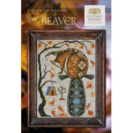 A Year in the Woods 11: The Beaver