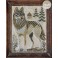 A Year in the Woods II-1: The Wolf