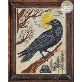 A Year in the Woods II-4: The Crow