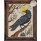 A Year in the Woods II-4: The Crow