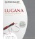 Zweigart Lugana steingrau, Precut 48x68 cm