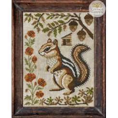 A Year in the Woods II-6: The Chipmunk