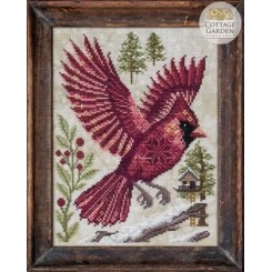 A Year in the Woods II-7: The Northern Cardinal