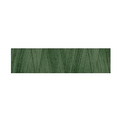 Aurifil Cotton 28 - 2890